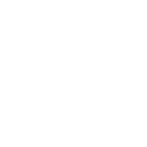 .SALVO